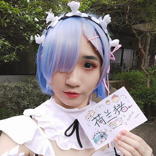 Rem FS
